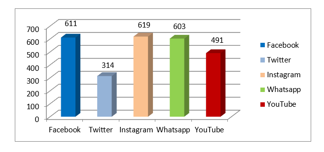 Social media advertising techniques